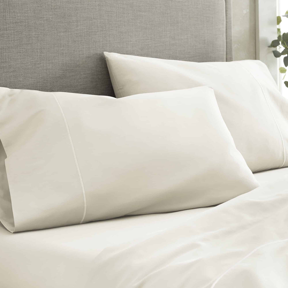 Whisper Organics 500 TC Organic Sateen Sheet Set – product photo