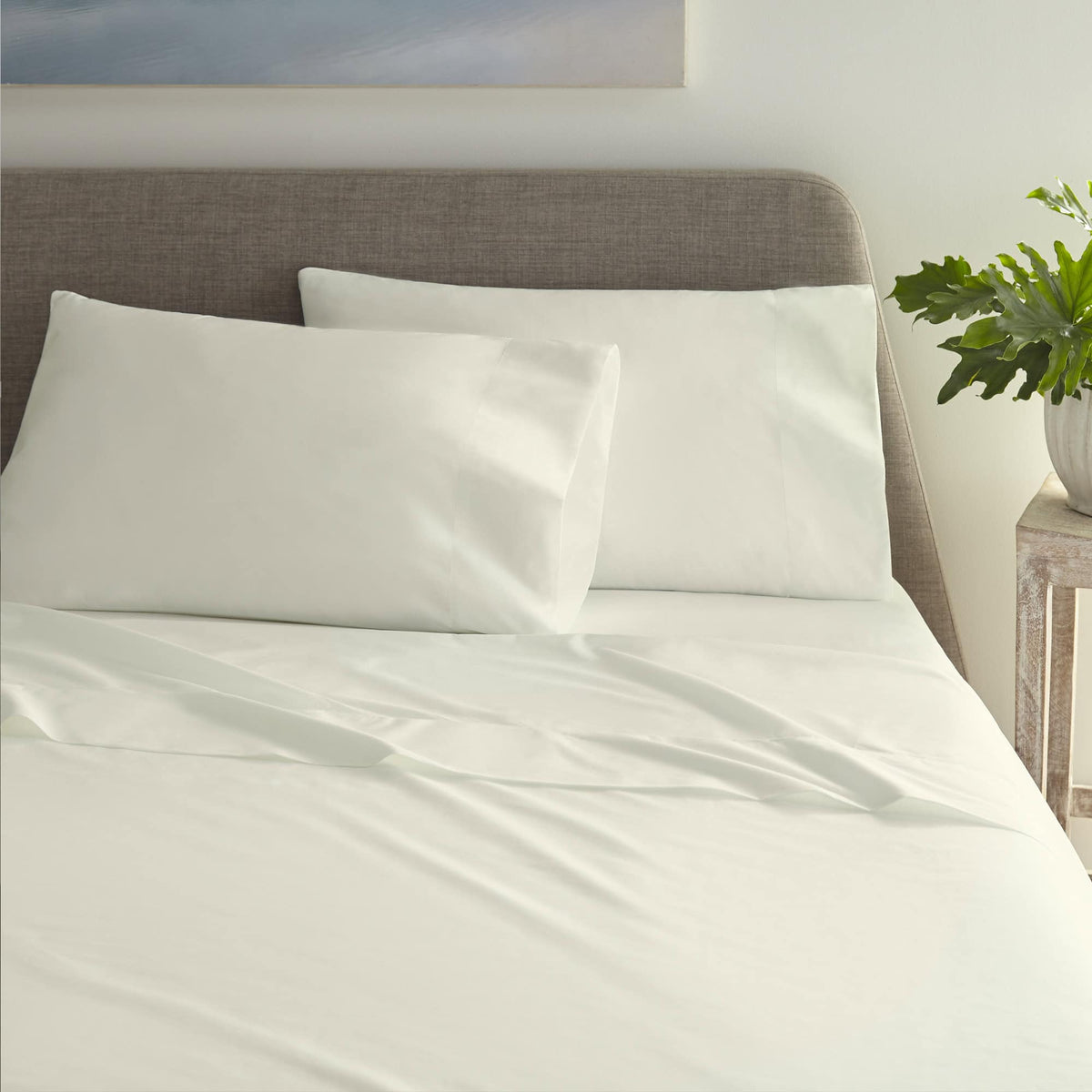 Whisper Organics 270 TC Organic Percale Sheet Set – product photo